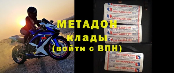 прущие грибы Абаза