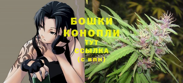 индика Абинск