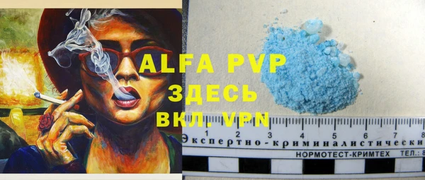 прущие грибы Абаза
