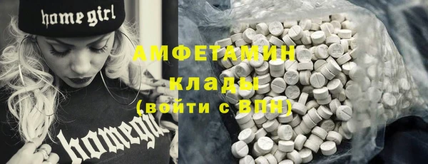 индика Абинск