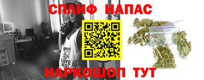амф Моздок