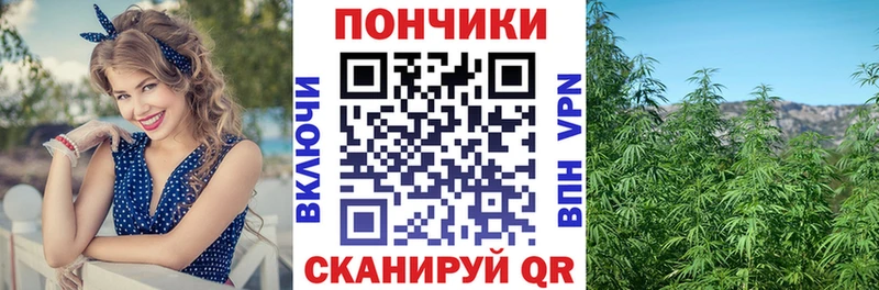 МЕГА вход  Одинцово  Марихуана конопля 